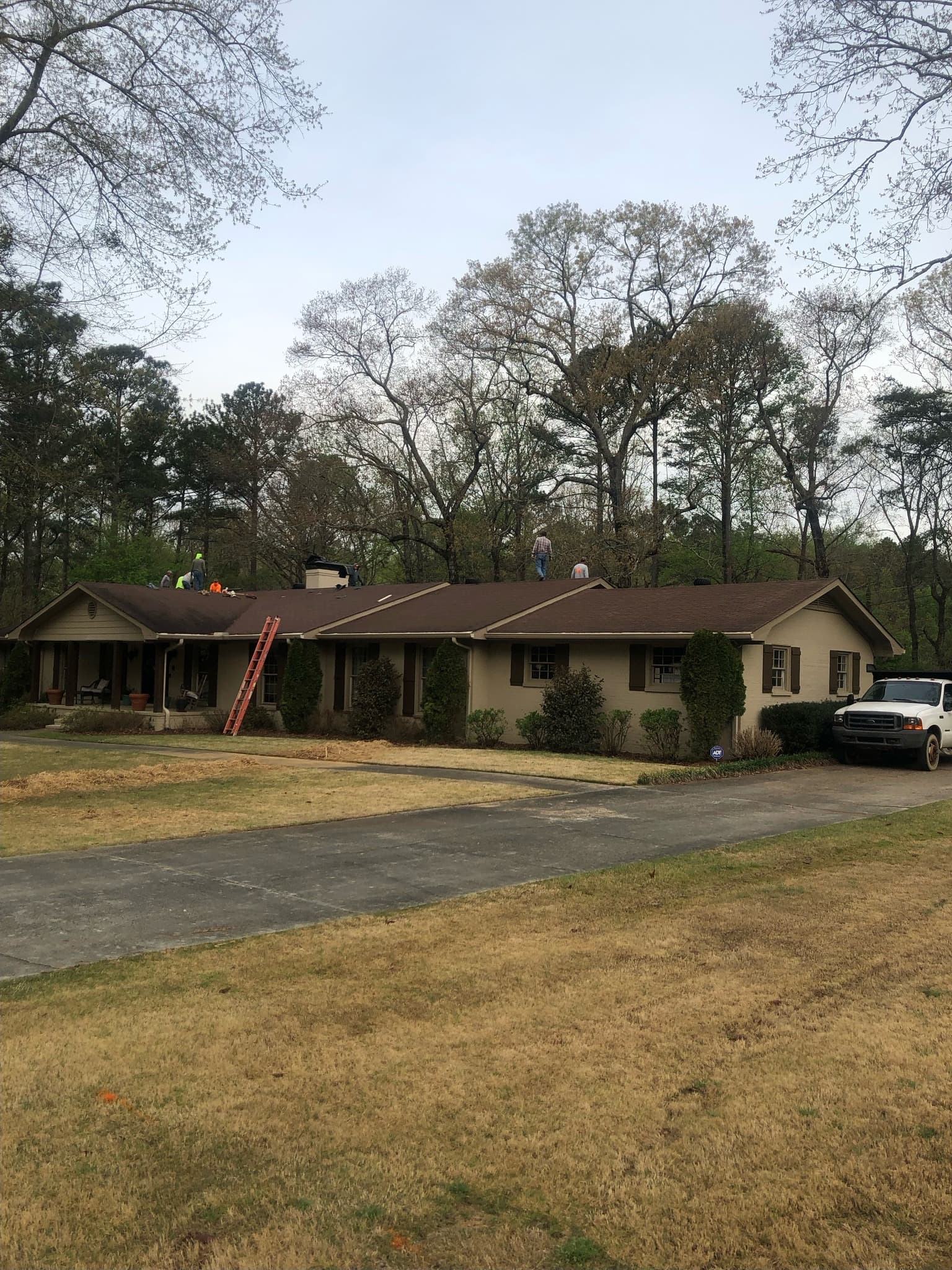 Storm Damage project visual for Cullman.